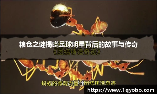 完美(中国)体育